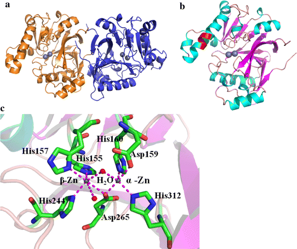 Fig. 2