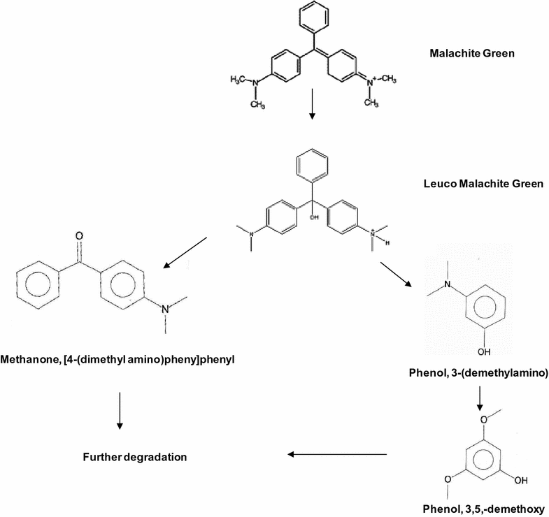 Fig. 6