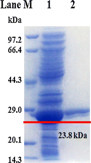 Fig. 1