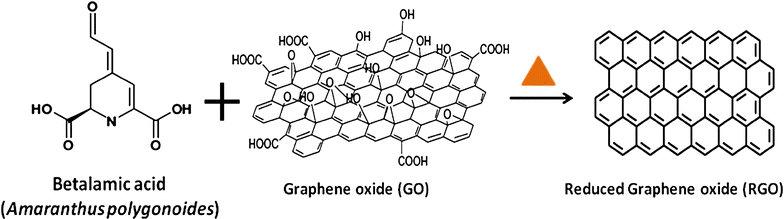 Scheme 1