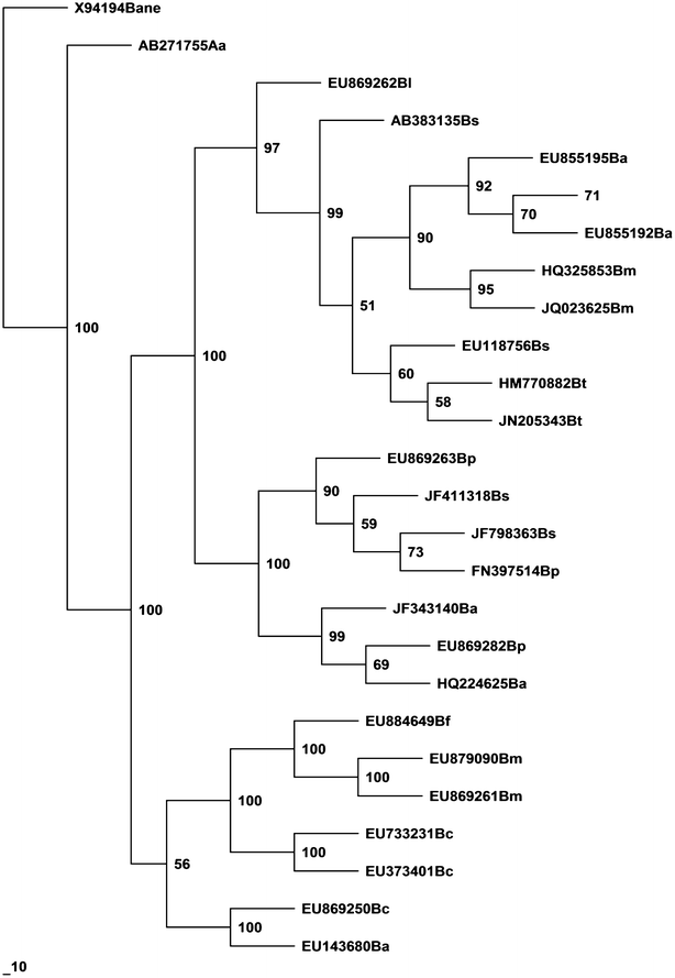 Fig. 1