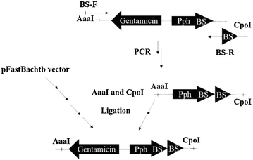 Fig. 1