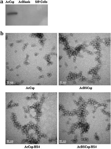 Fig. 4