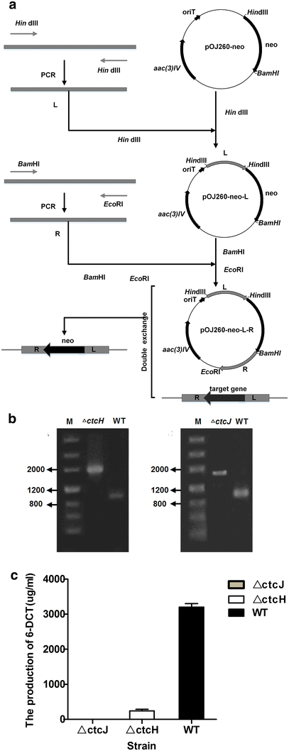 Fig. 4