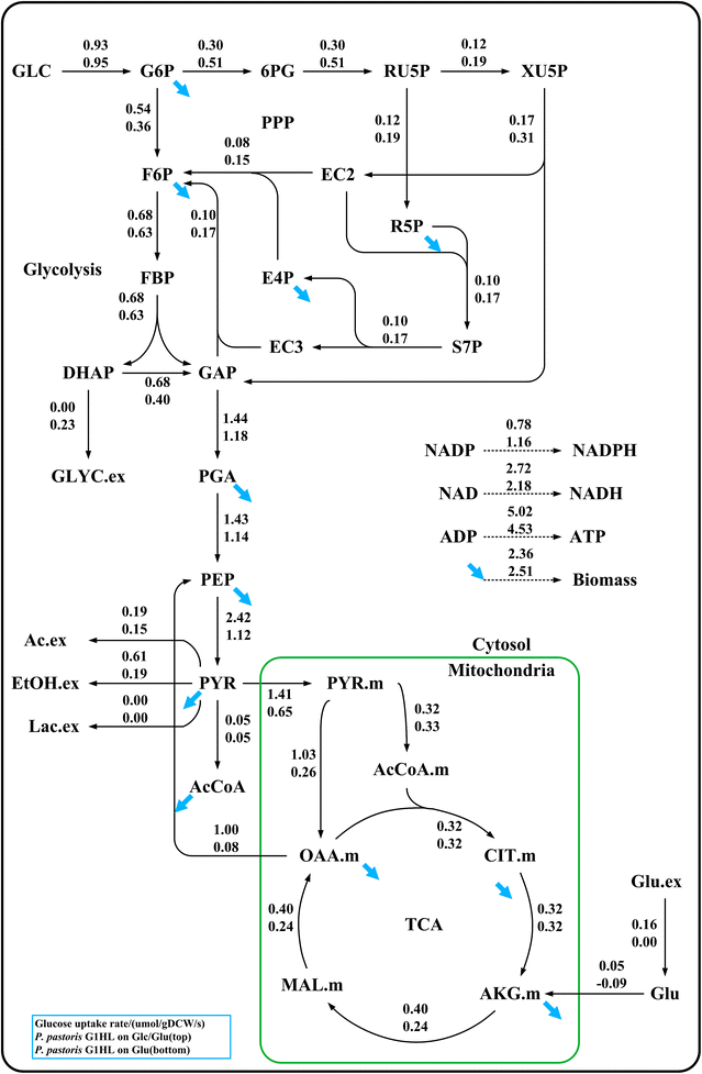 Fig. 2