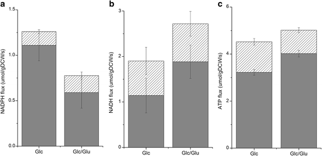 Fig. 3