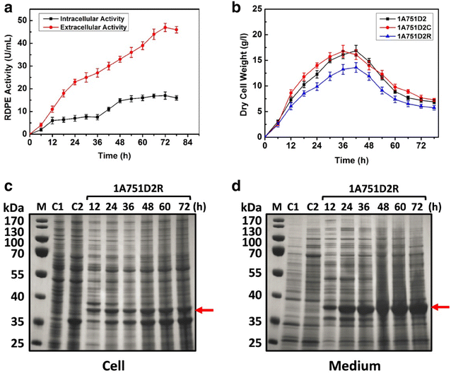 Fig. 3