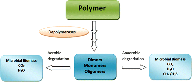 Fig. 6