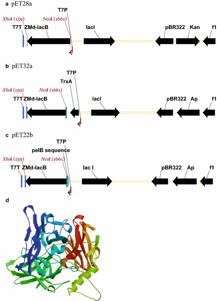 Fig. 1