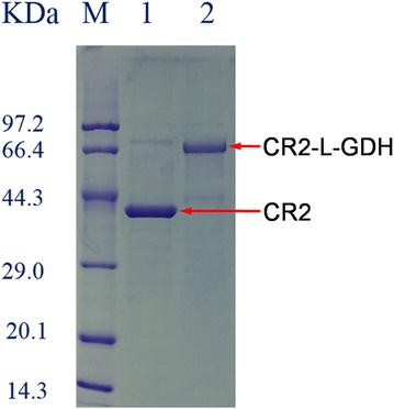 Fig. 3