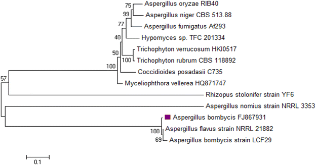 Fig. 2