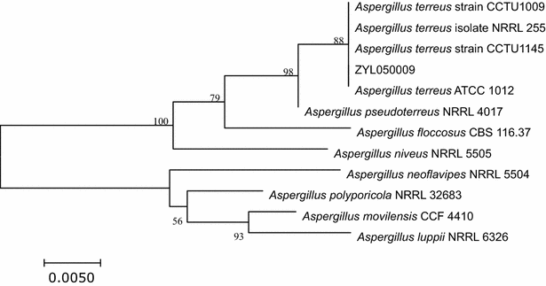 Fig. 2