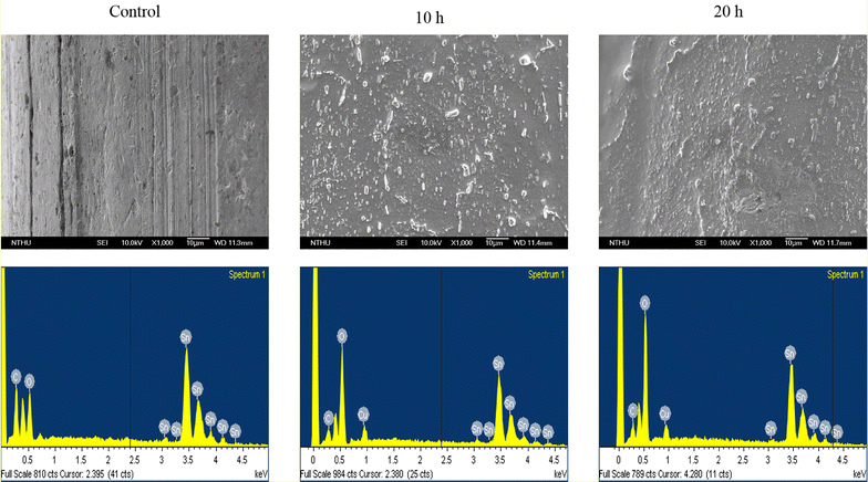 Fig. 8