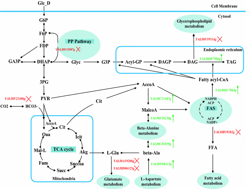 Fig. 3