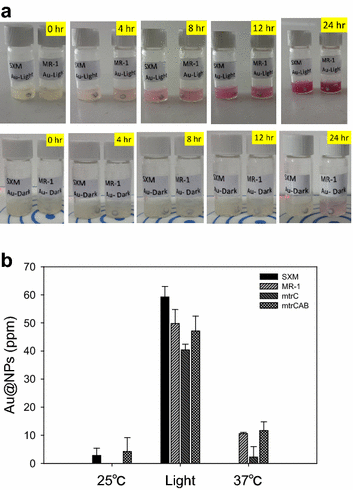 Fig. 3