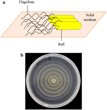 Fig. 2