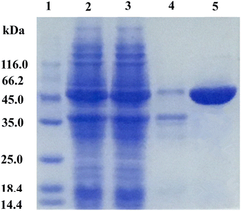 Fig. 2