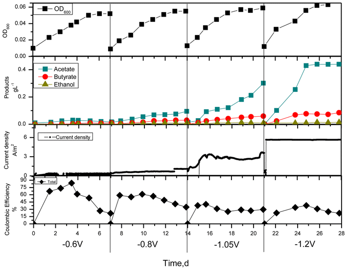 Fig. 2