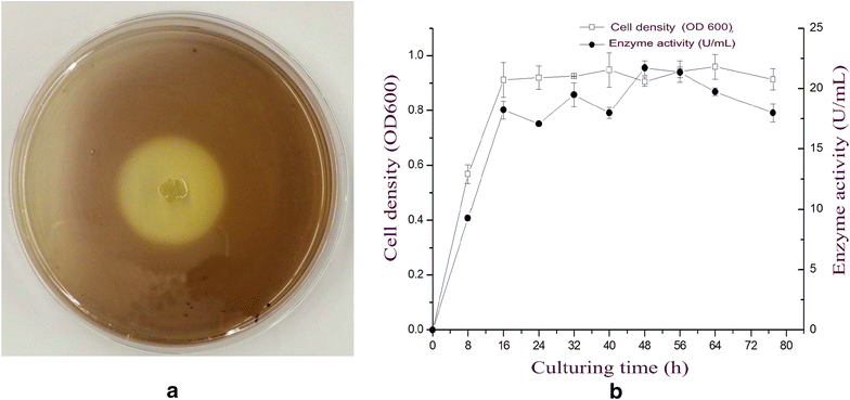 Fig. 1