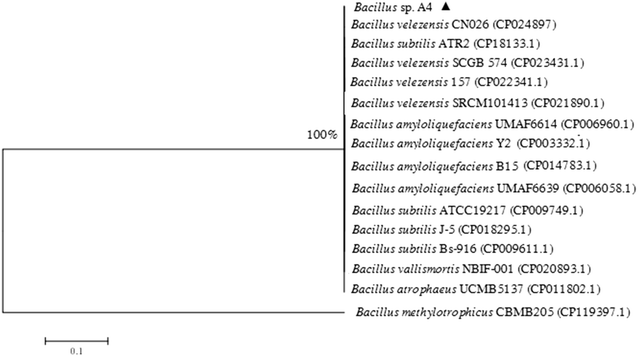 Fig. 2