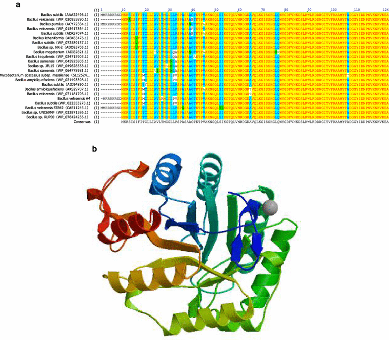 Fig. 4