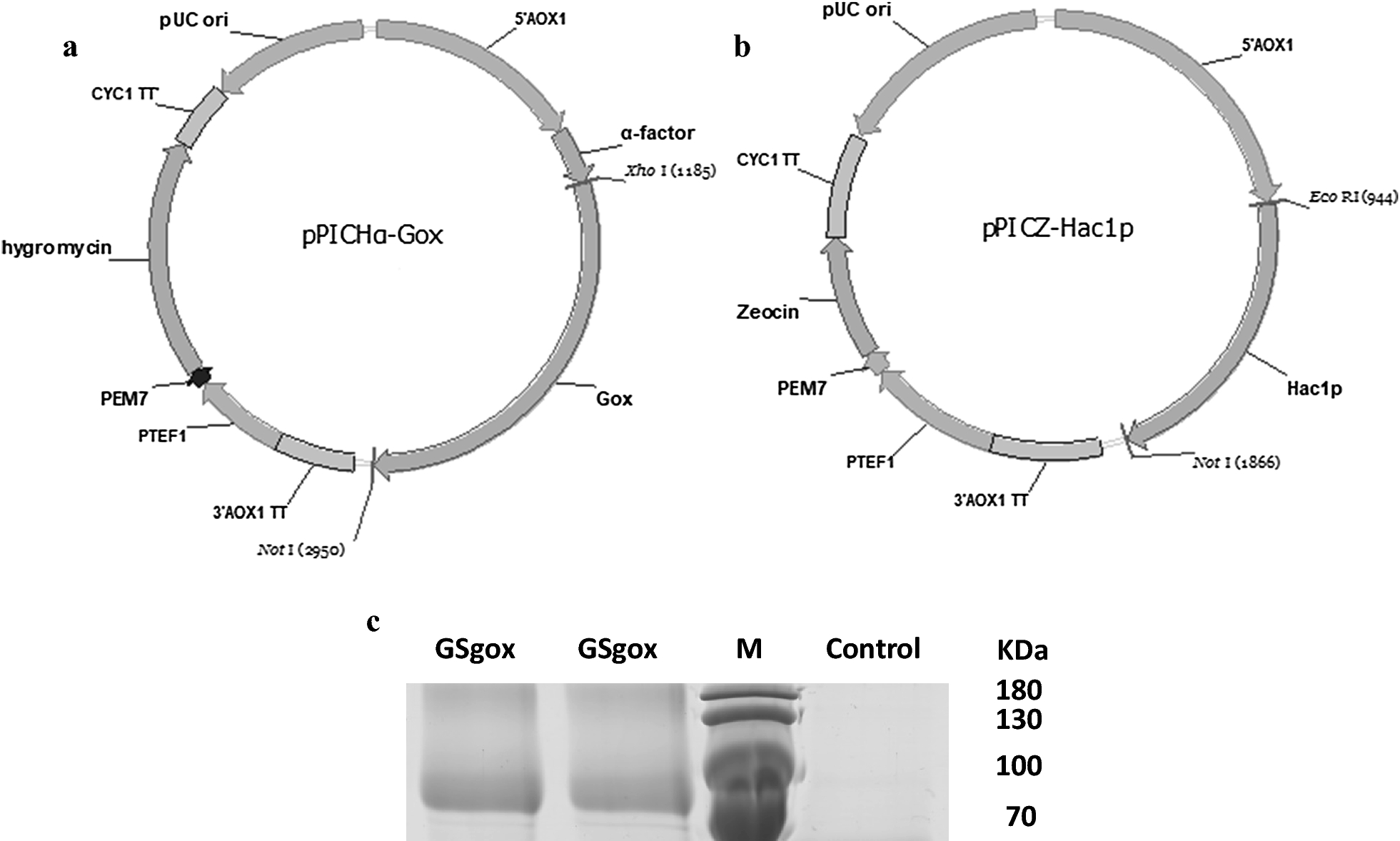 Fig. 1