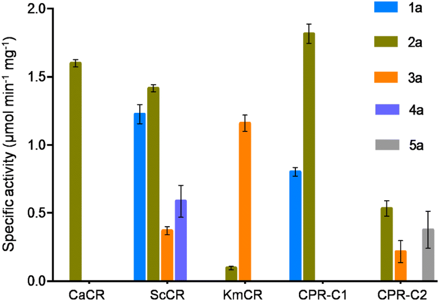 Fig. 3