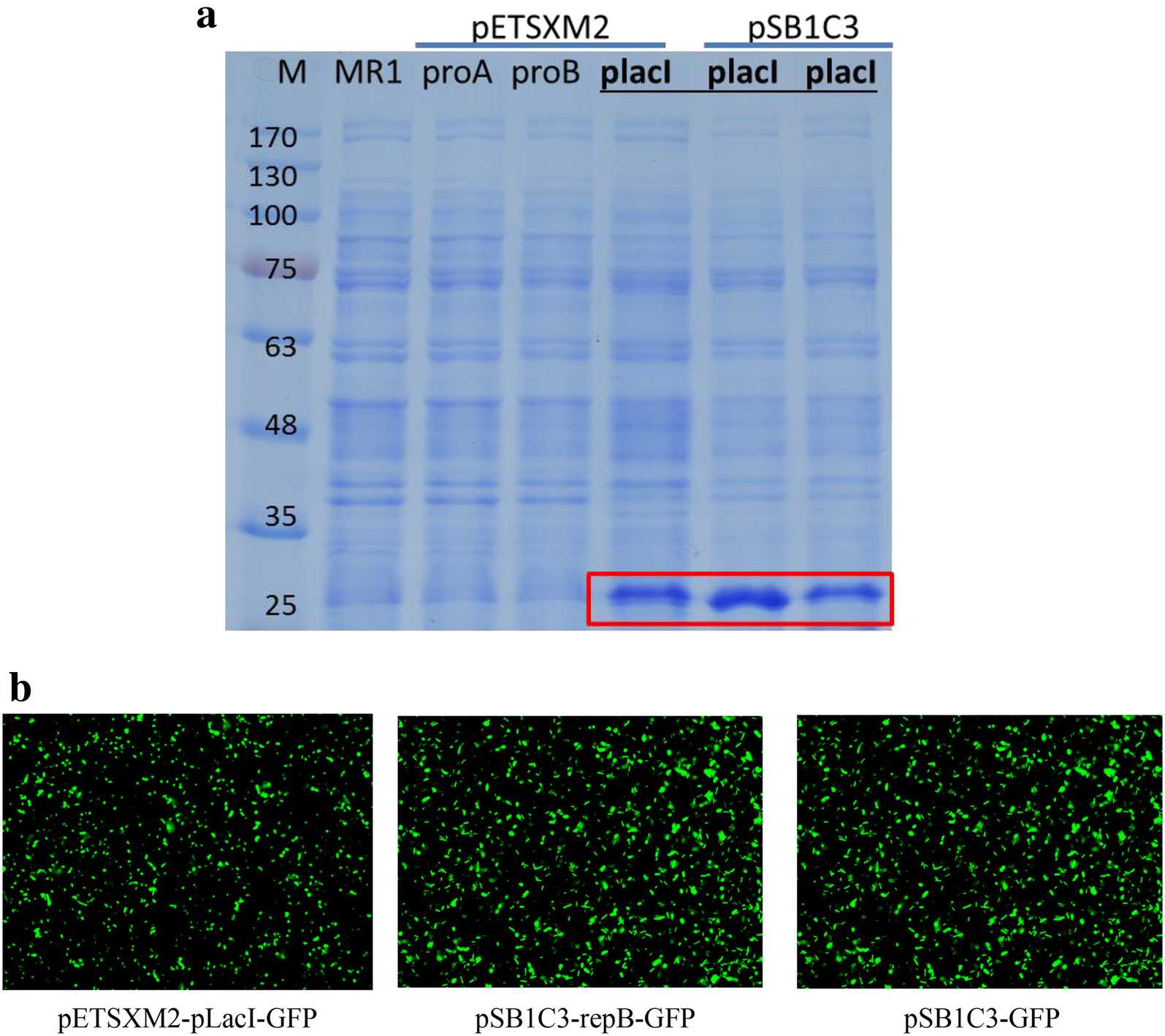 Fig. 2