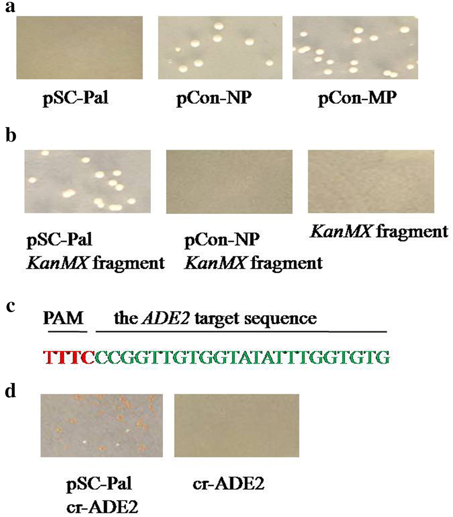 Fig. 2