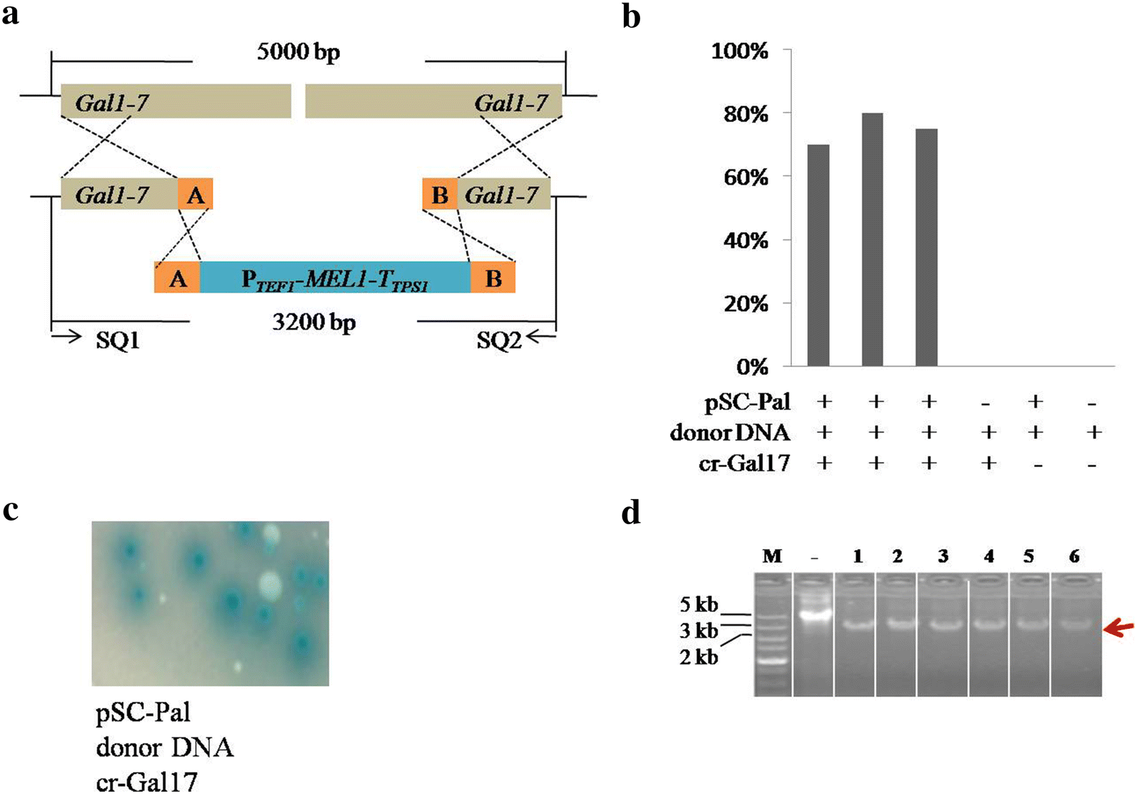 Fig. 3