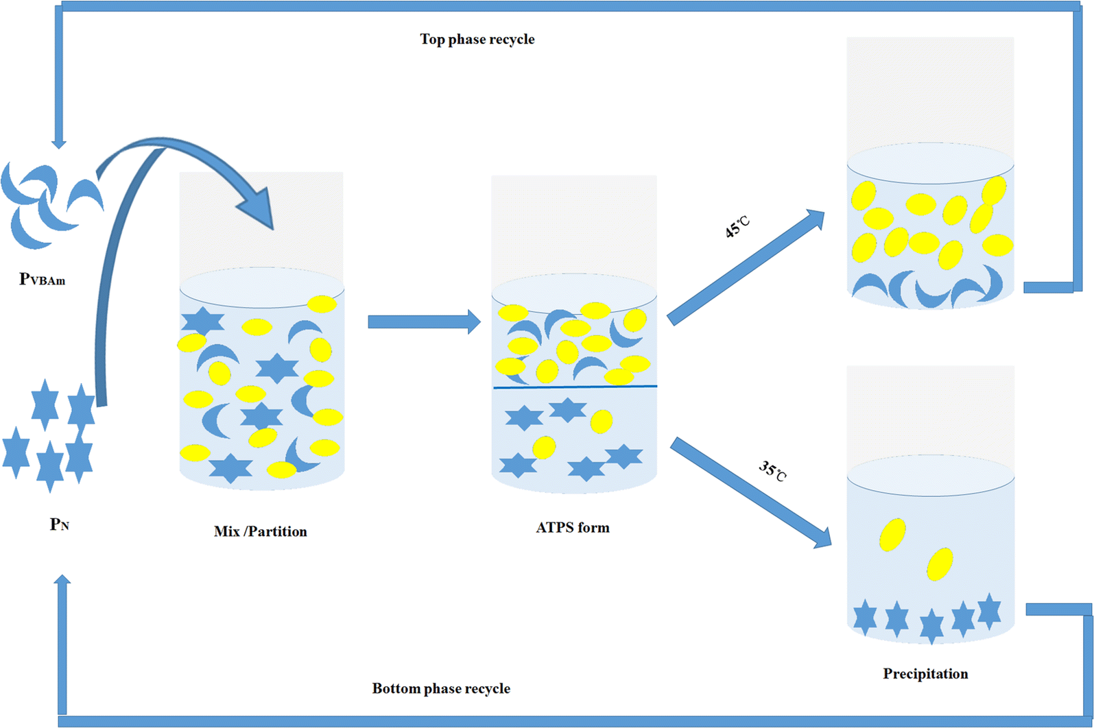 Fig. 7