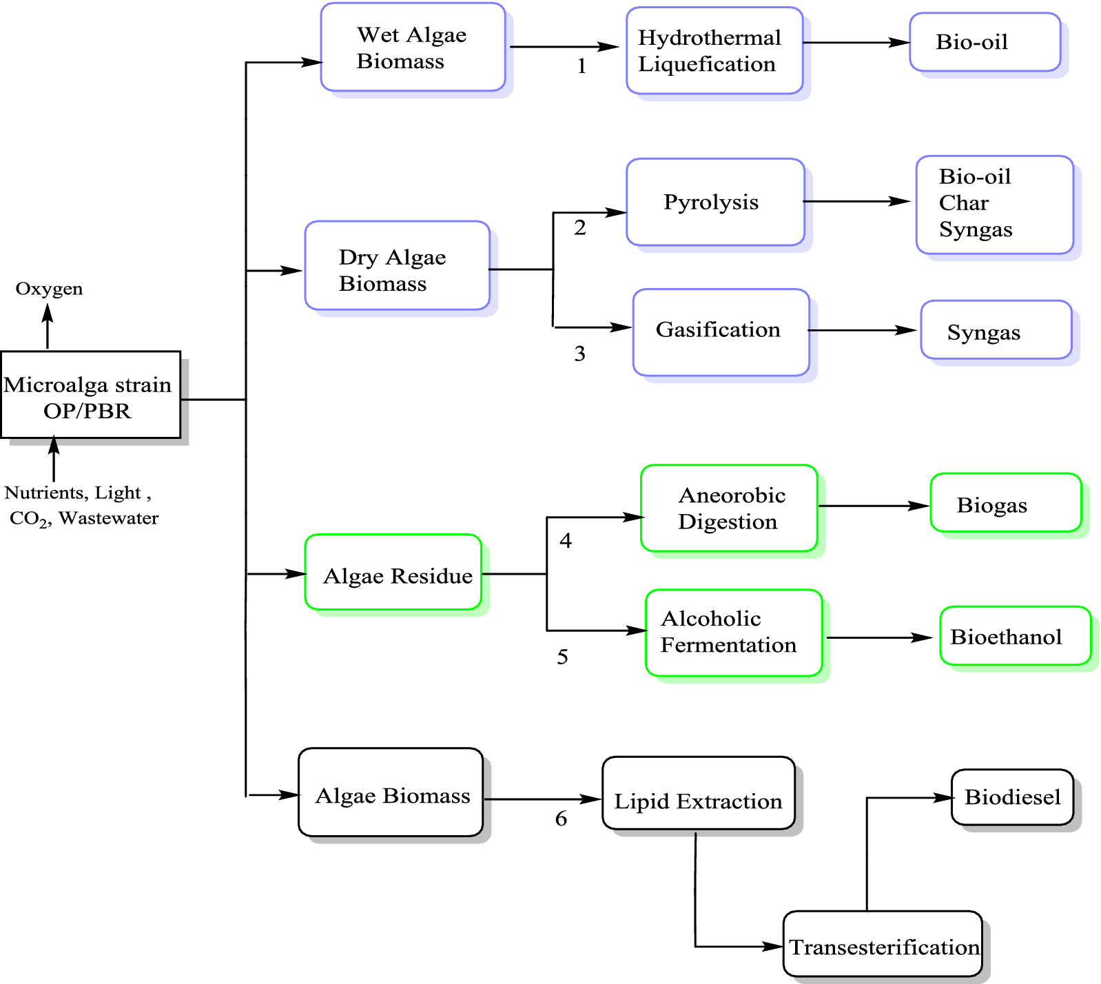 Fig. 2