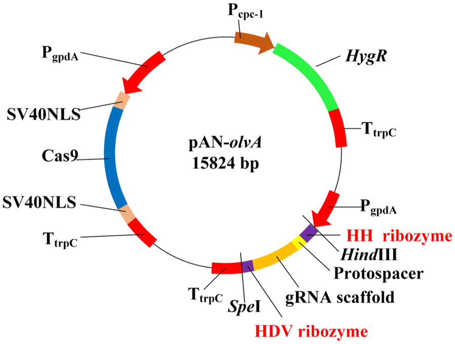 Fig. 1