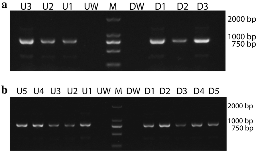 Fig. 6