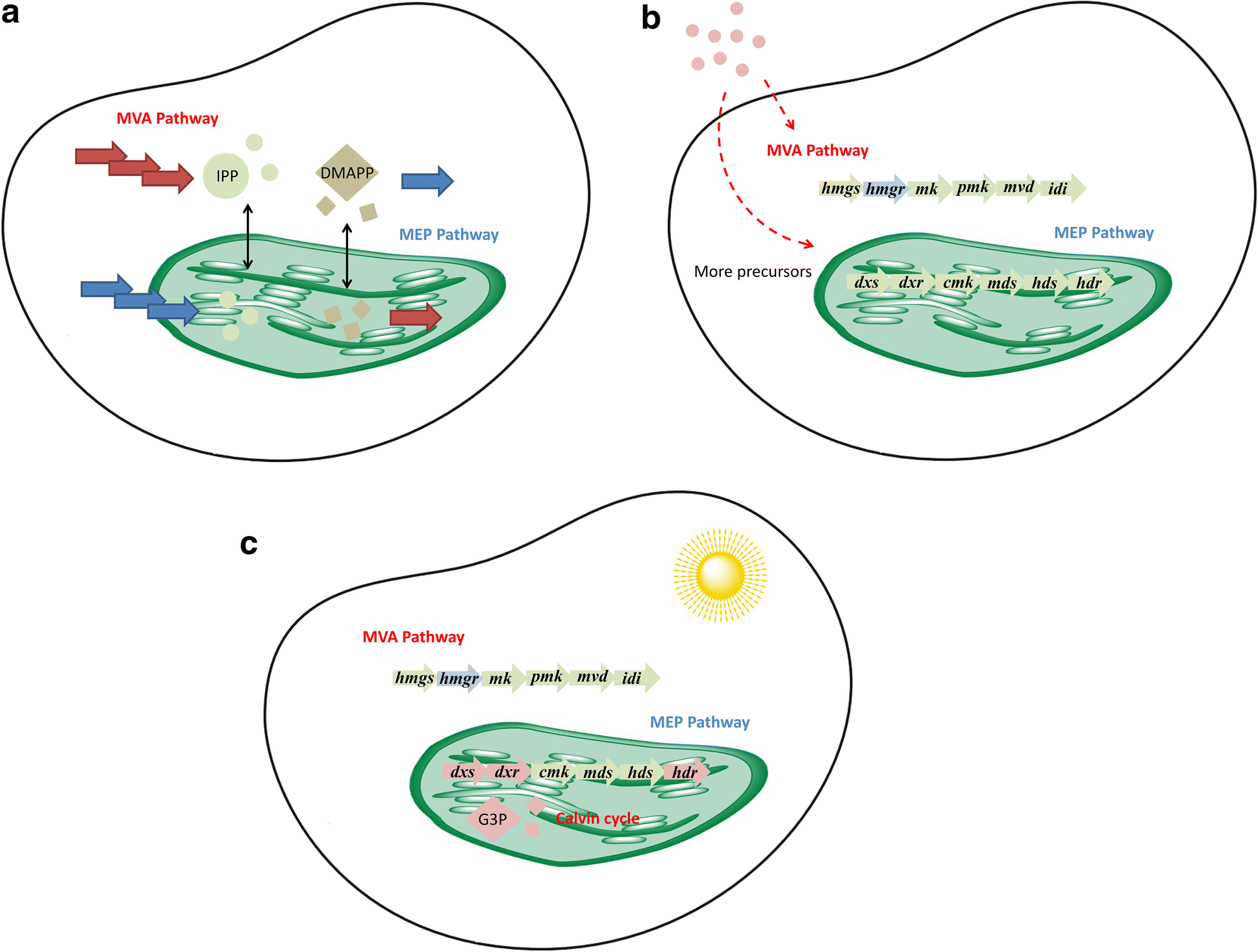 Fig. 3