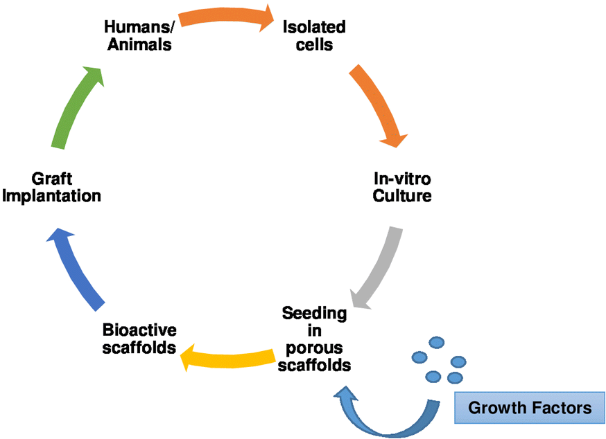 Fig. 8