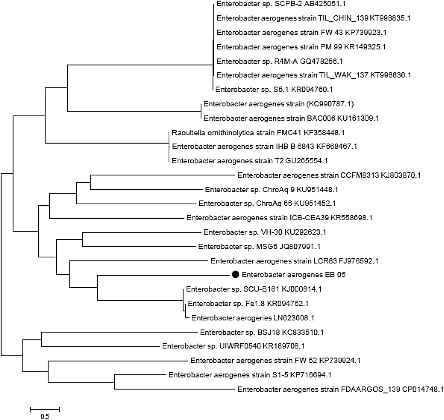 Fig. 2