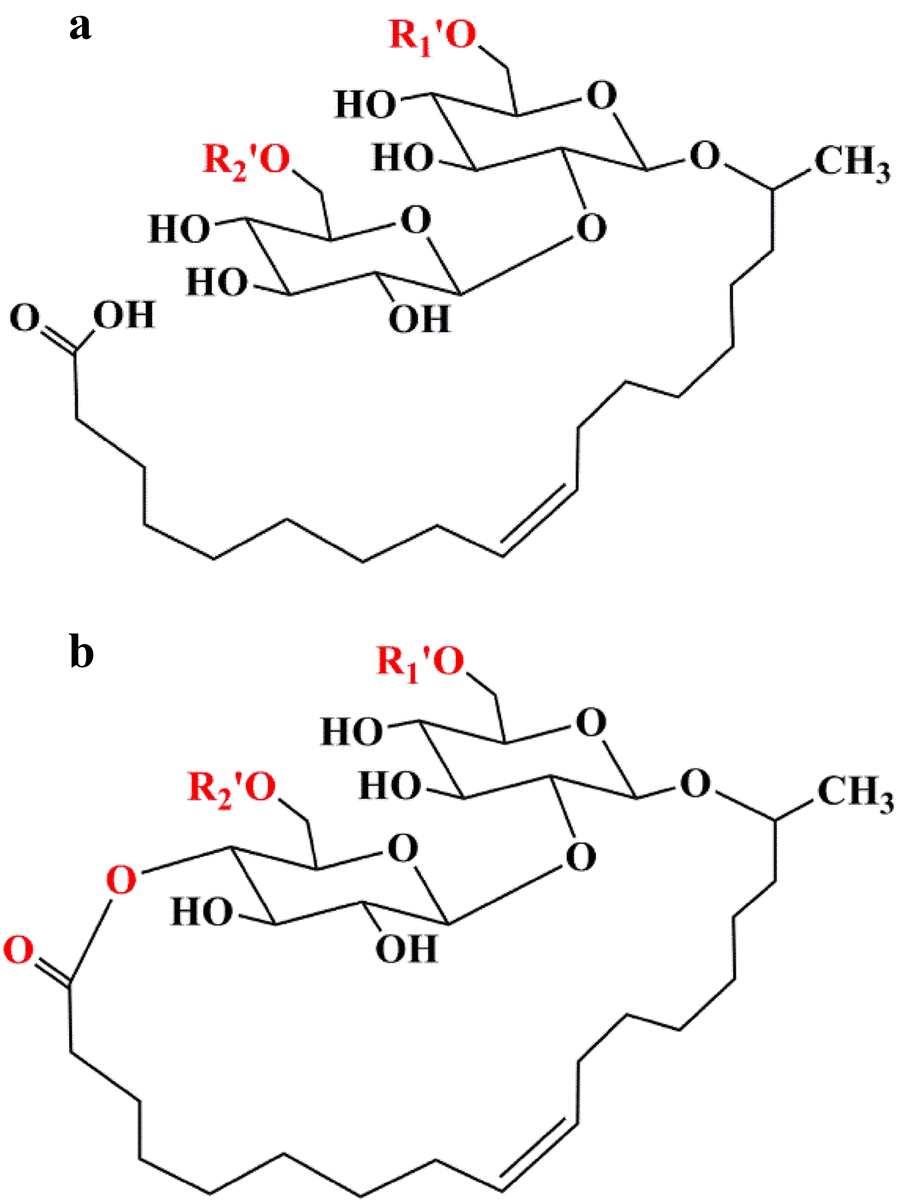 Fig. 1