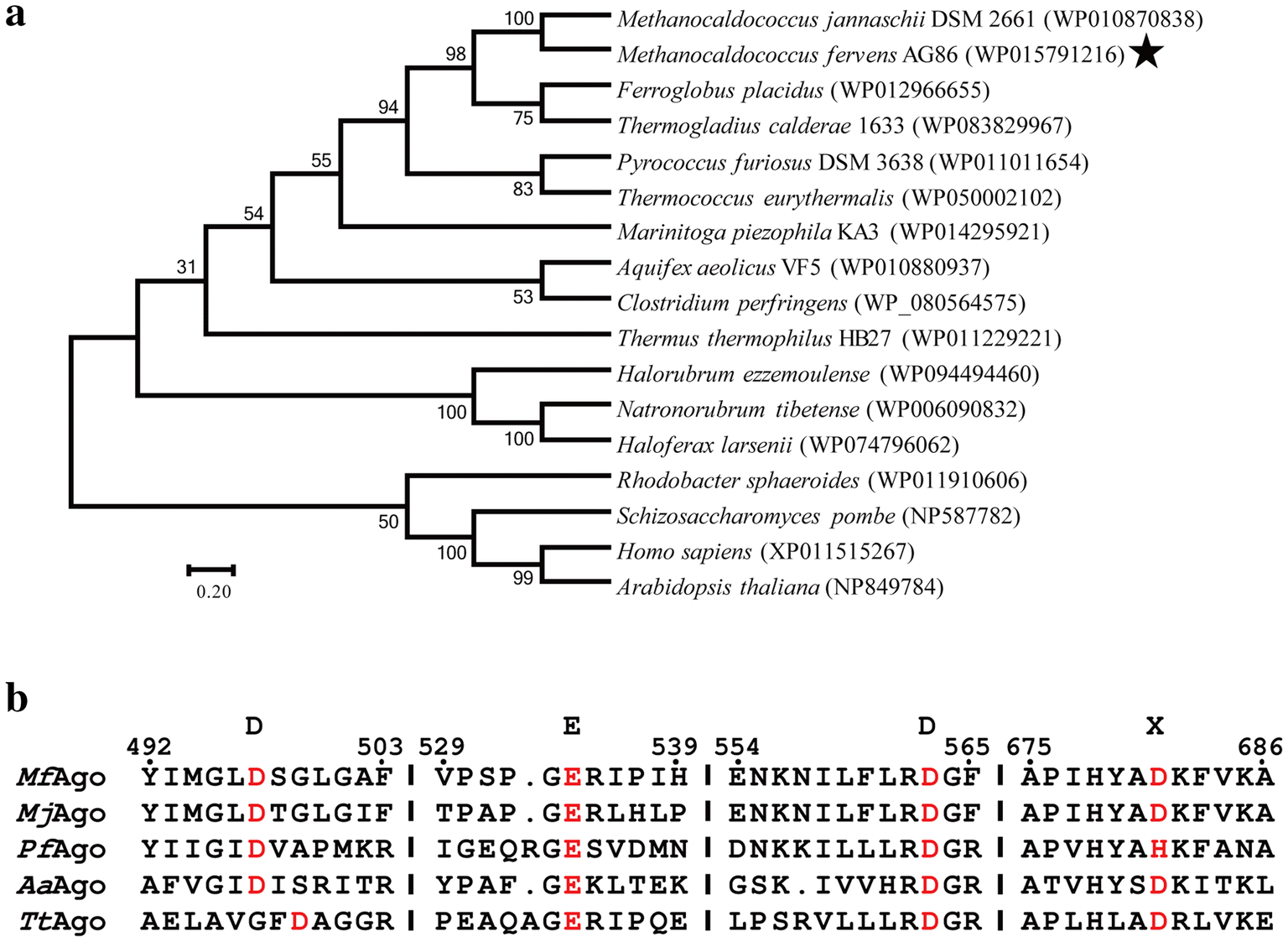 Fig. 1