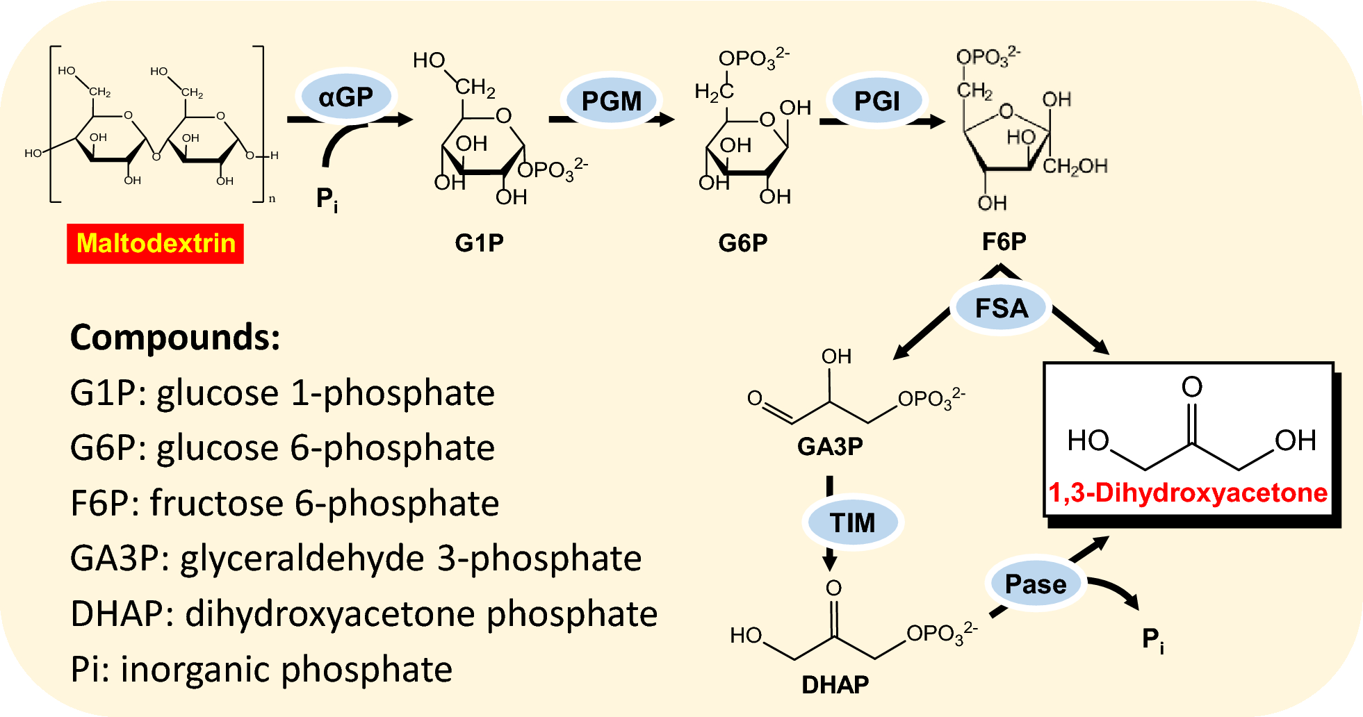 Fig. 6