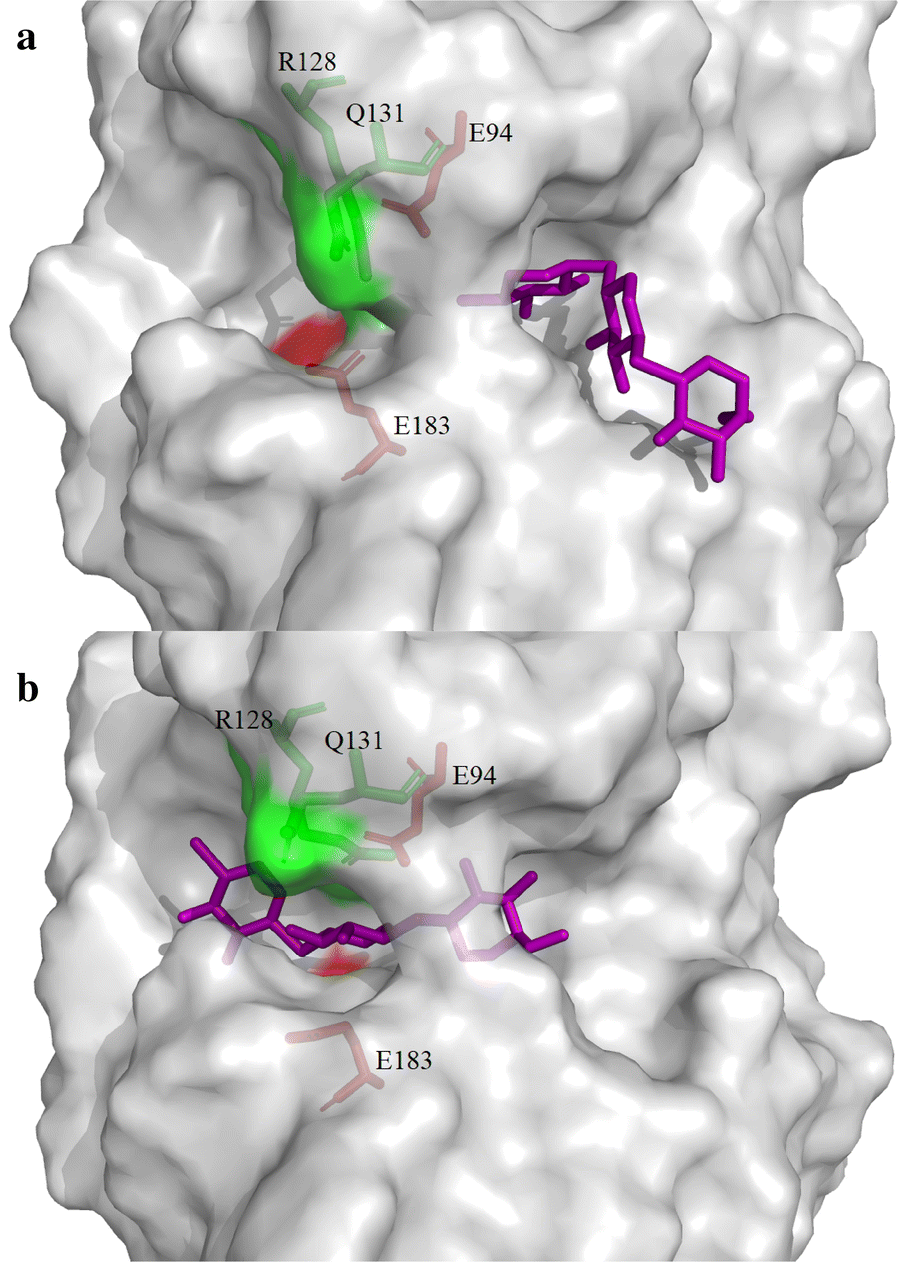 Fig. 6