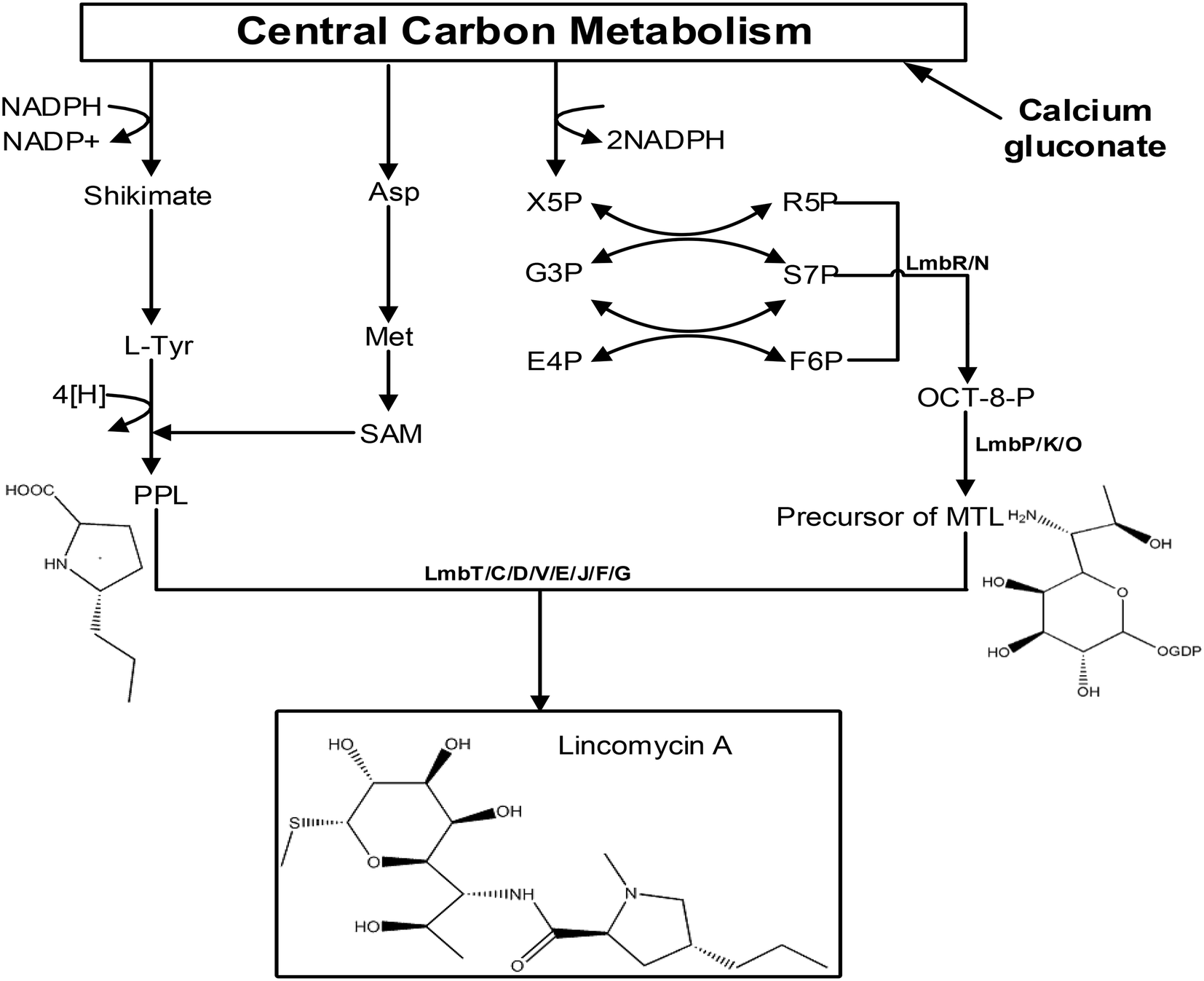 Fig. 1