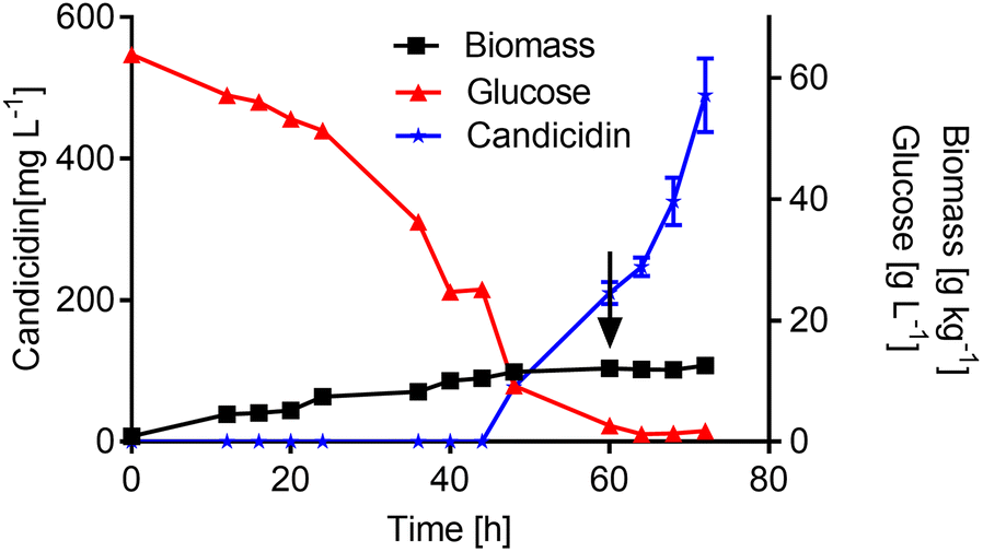 Fig. 2