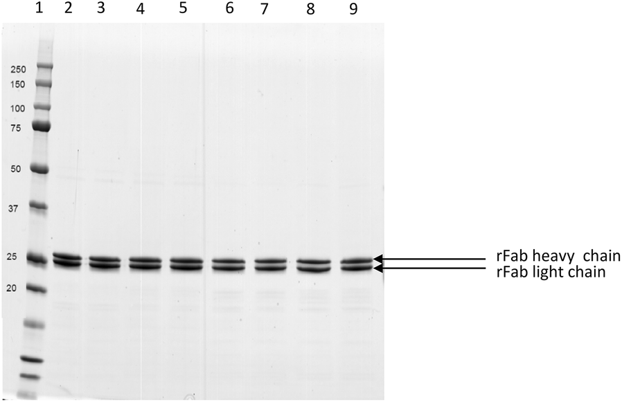 Fig. 4