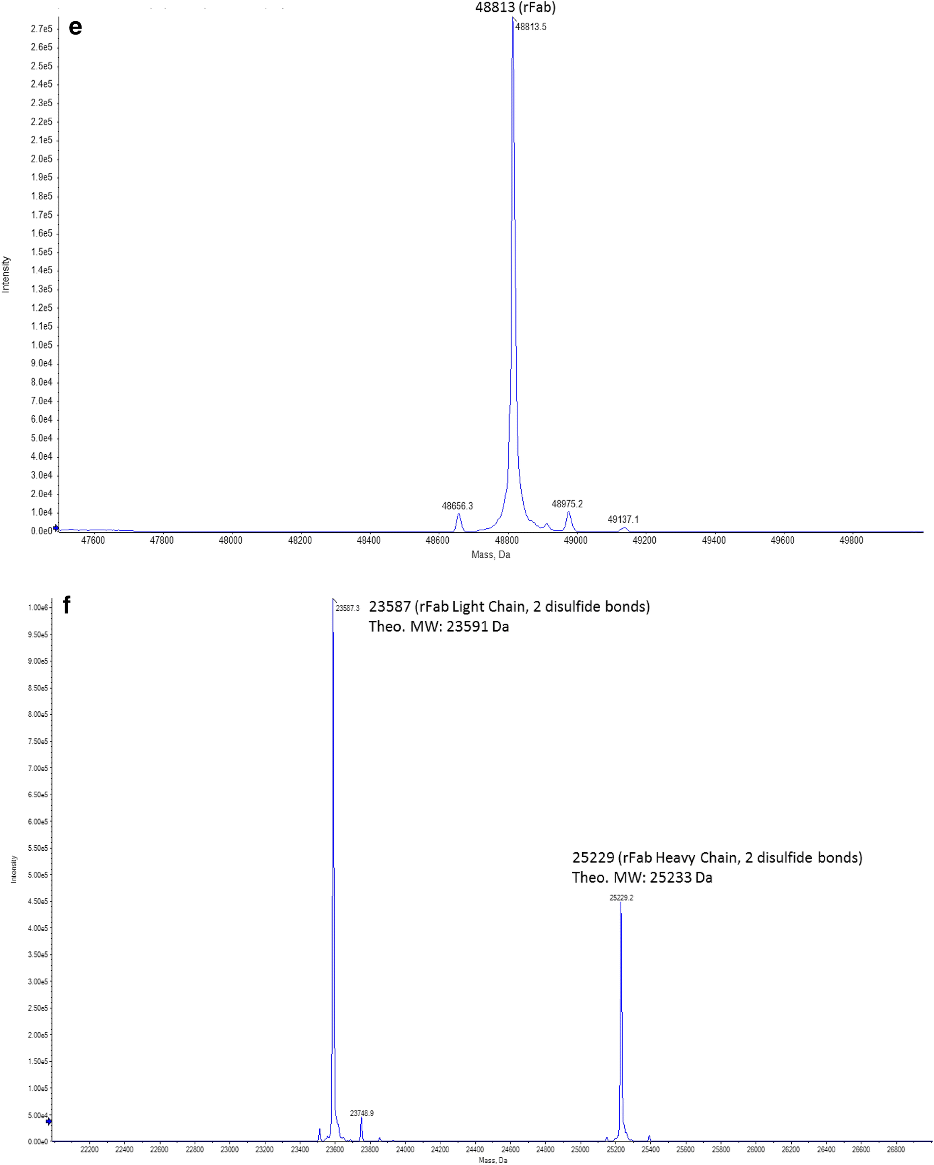 Fig. 5