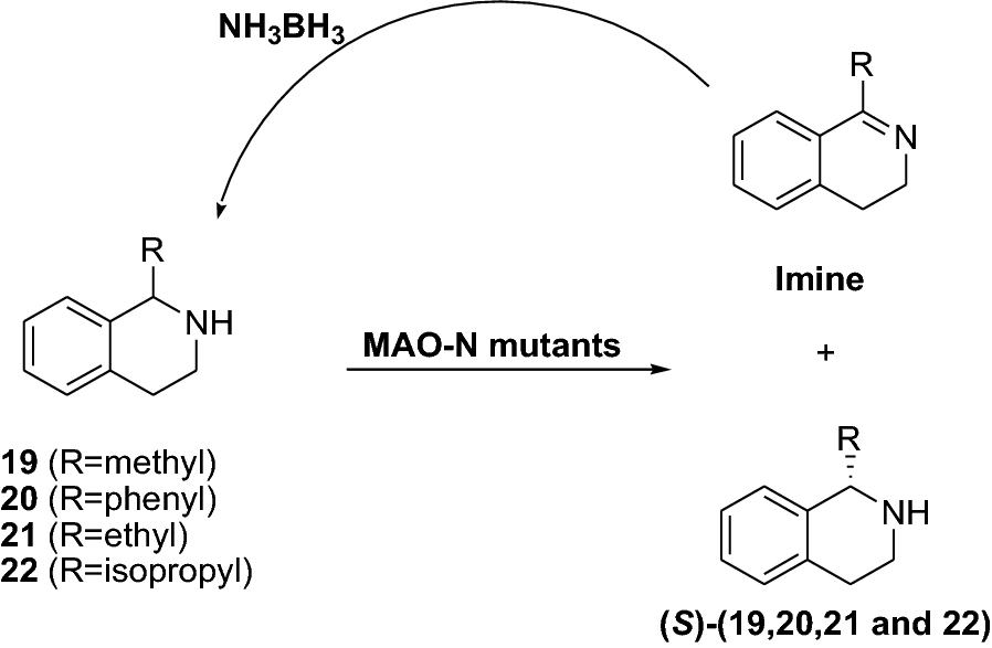 Fig. 7