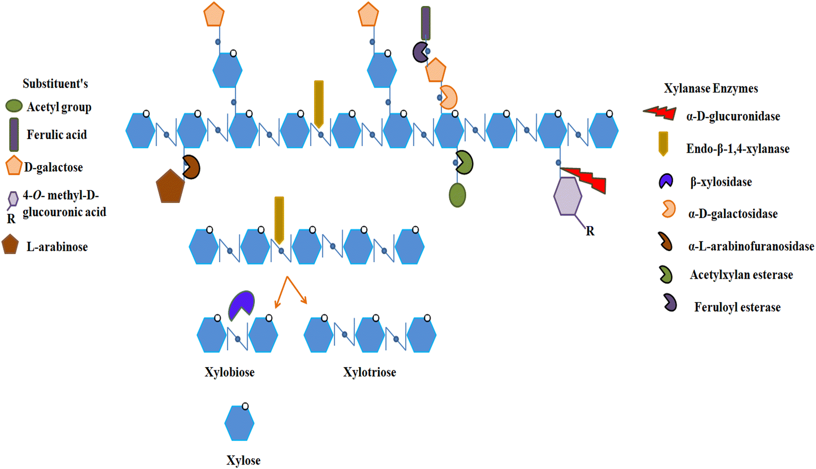 Fig. 1