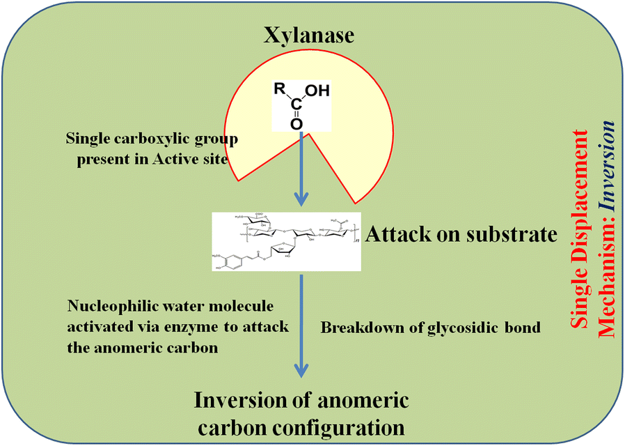 Fig. 3