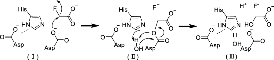 Fig. 1