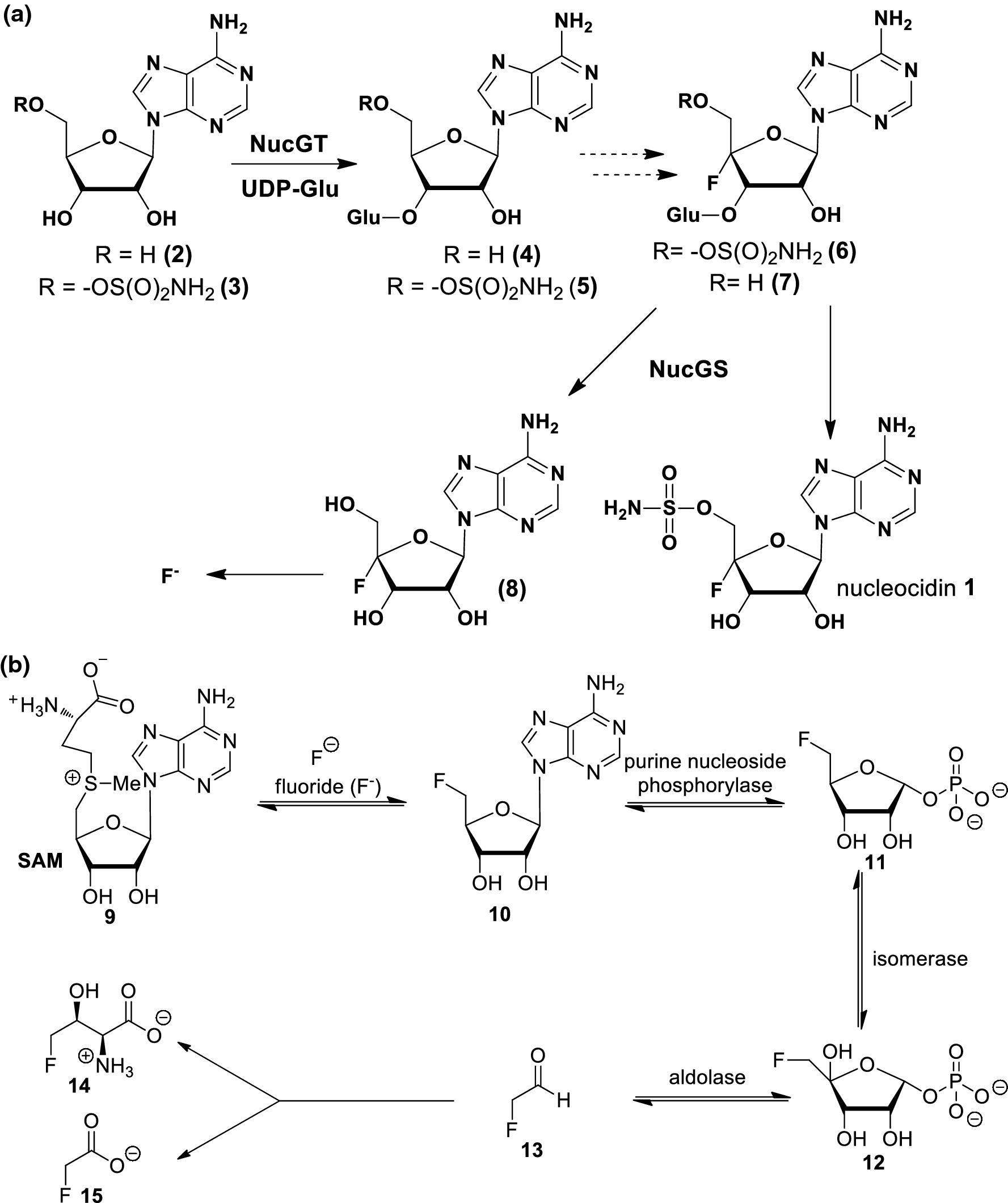 Scheme 1